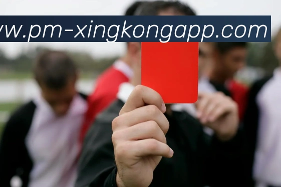 App功能展示图
